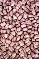 Cat food backgrounds