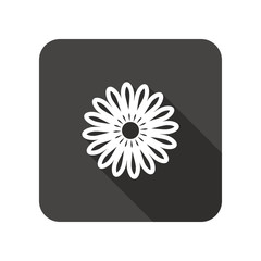 Camomile flower icons. Floral symbol. Rounded square flat icon with long shadow. Vector