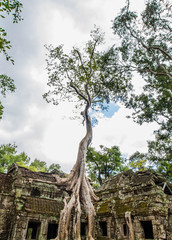 Ta Prohm temple