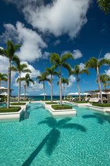 Pool with palms at caribbean - obrazy, fototapety, plakaty