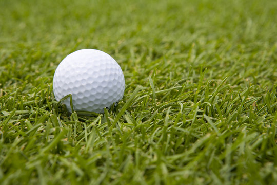 Close-up of golf ball in grass