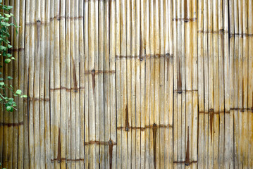 Bamboo fence with plants