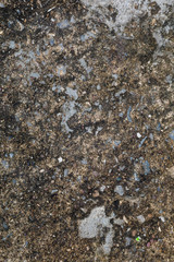 old concrete wall.
