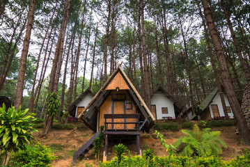Fototapeta na wymiar Homes with pine tree on Pang Ung reservoir lake in Mae Hong Son, Thailand.
