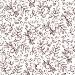 Seamless pattern Argan Oil