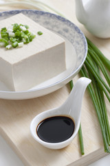 Tofu in a bowl with soysauce and leeks