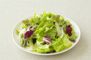 野菜サラダ