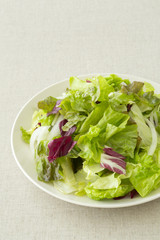 野菜サラダ
