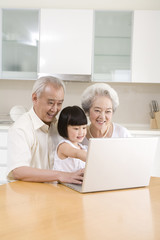 Fototapeta na wymiar Little girl using a laptop with her grandparents