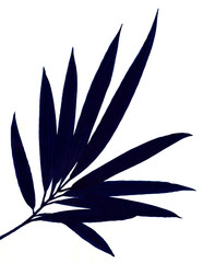 대나무 줄기와 잎새를 면으로 표현