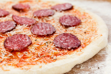Cooking pizza, Italian food with guerrillas cheese, salami sausage