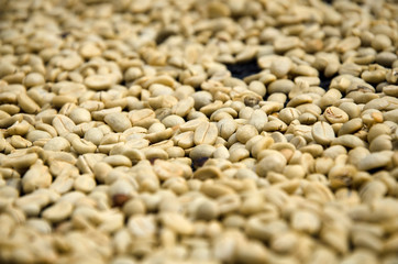 Coffee Beans