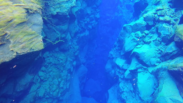 Iceland Silfra Thingvellir environment rock volcanic biology underwater