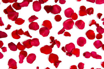 close up of red rose petals