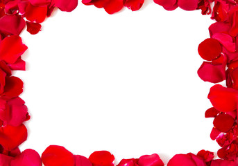 close up of red rose petals blank frame