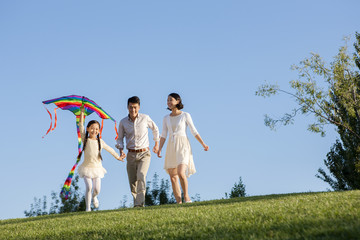 Cheerful young family flying a kite in a park