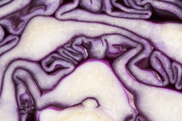 background of cut red cabbage, abstraction
