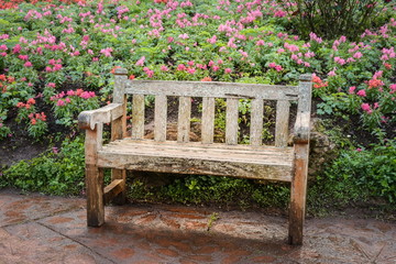 Vintage bench in botanic park. 