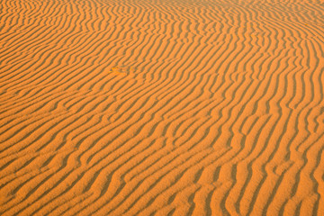 Striped pattern on the orange sand dune