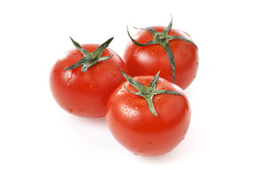 トマト　Tomato