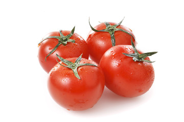 トマト　Tomato