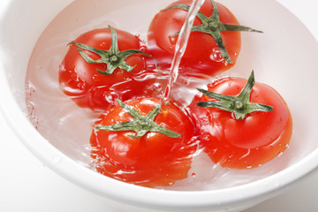 トマト　Tomato