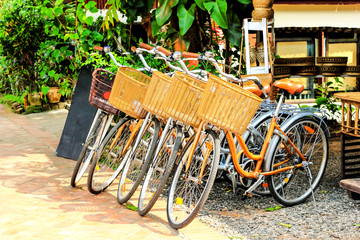 Bicycle for rent in town Luang prabang