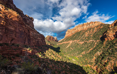 Canyon in Zion National Park, Utah
