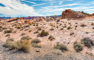 Fototapeta na wymiar Rock desert, Nevada