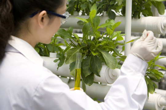 Scientists doing research in modern farm