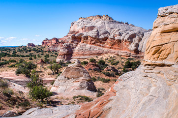White Pocket, Arizona
