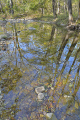 Reflection on river 3