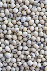 top view of soy beans background