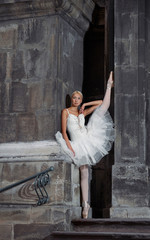Grace in any situation. Beautiful female ballet dancer practicing outdoors soft focus © serhiibobyk