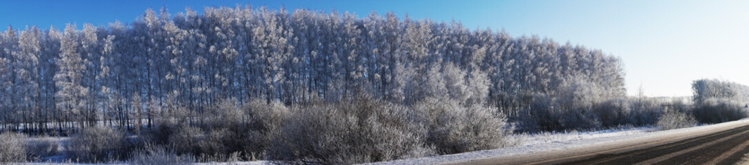 Obraz na płótnie Canvas beautiful landscape in winter