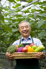 Farmer holding vegetables in modern farm