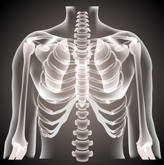  surgeon radiologist medical examaning lung torso  x-ray