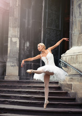 Naklejka premium She makes you wanna dance. Soft focus portrait of a stunning female ballet performer outdoors