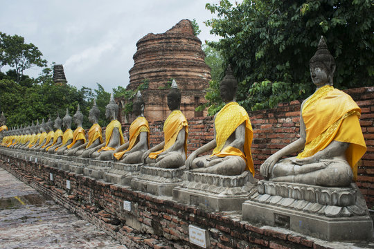 Budas en el templo