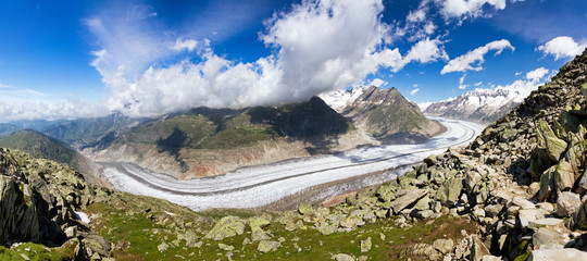 Extraordinairy panorama of the breathtaking Aletsch glacier as seen from the Bettmer alp in...