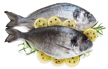 Aluminium Prints Fish Dorada fish with lemon