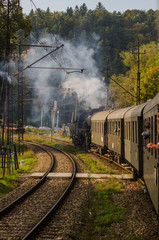 Kolej retro parowóz na trasie Muszyna Zdrój-Krynica-Zdrój, ,małopolska, Polska © Adam Olszowski