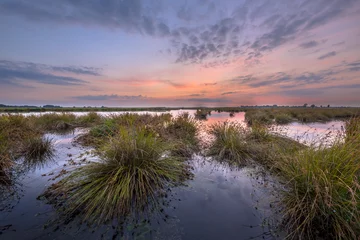 Stof per meter Landschapsbeeld van Wetland © creativenature.nl