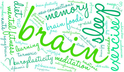 Brain Word Cloud on a white background. 