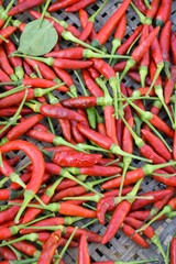  fresh red chili