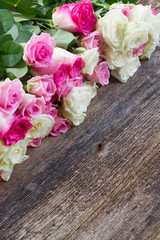 pink and white  roses 