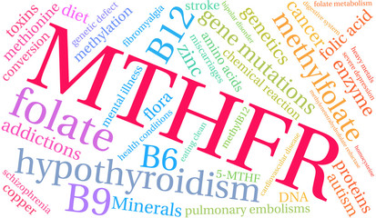 MTHFR Word Cloud