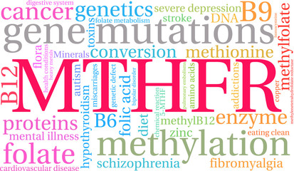 MTHFR Word Cloud