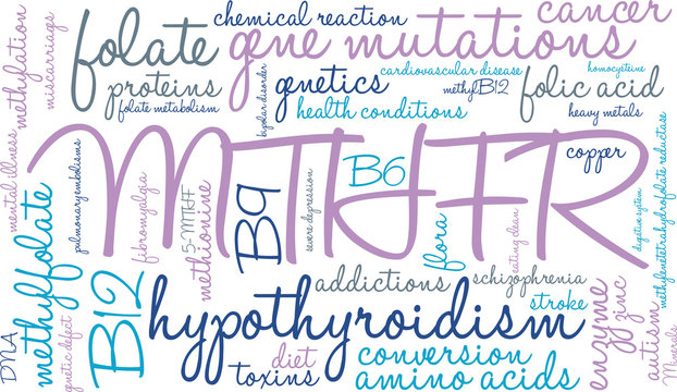MTHFR Word Cloud on a white background. 