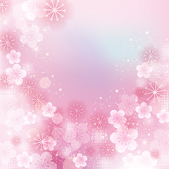 Japanese apricot flower